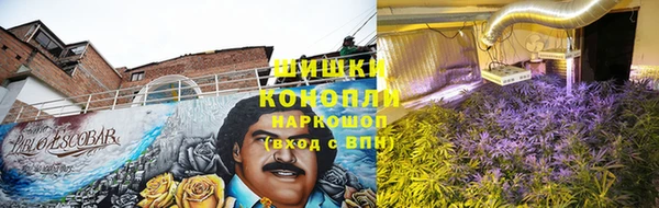 спиды Фёдоровский