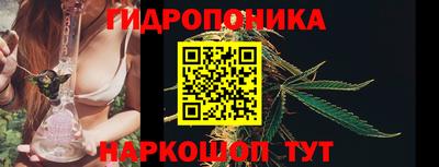 jwh Будённовск