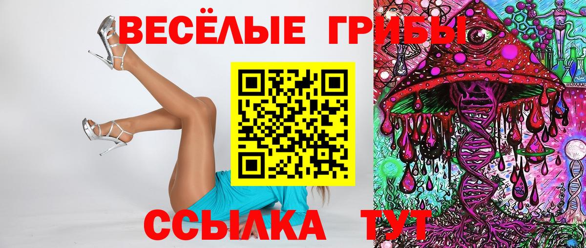 Псилоцибиновые грибы мицелий Салават
