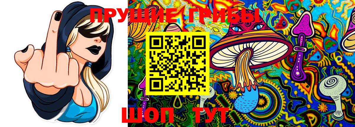 Псилоцибиновые грибы мицелий  где продают   Салават 